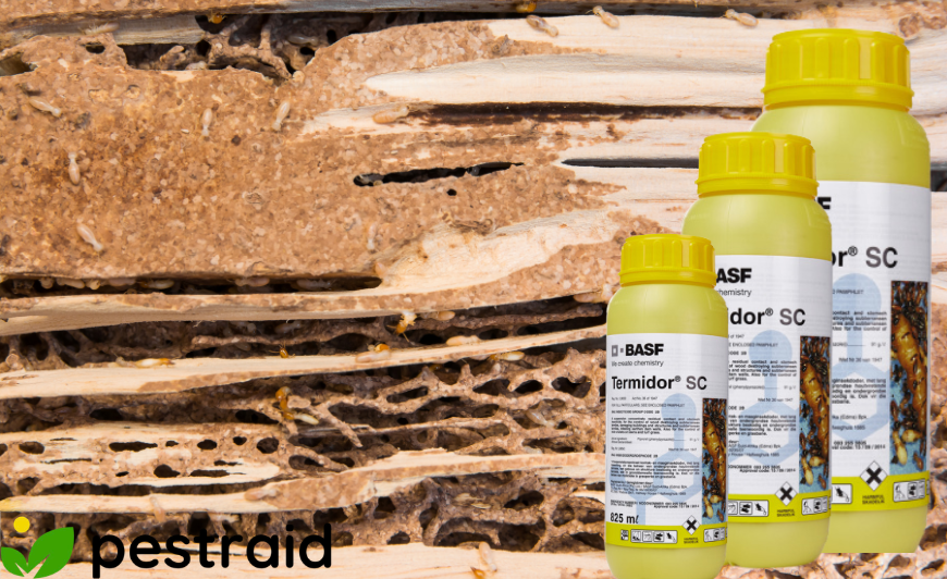 Get Best Termites Control Termiticides in Kenya 2026 : Pestraid Kenya
